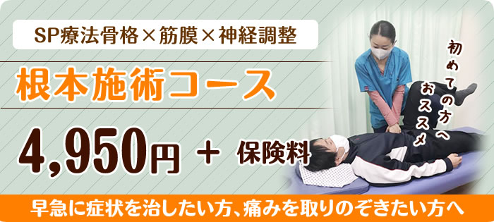 根本施術コース